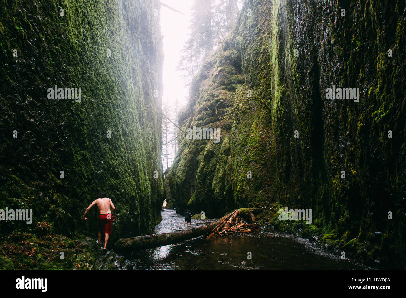 Oneonta Gorge, Pacific Northwest, Oregon Foto Stock