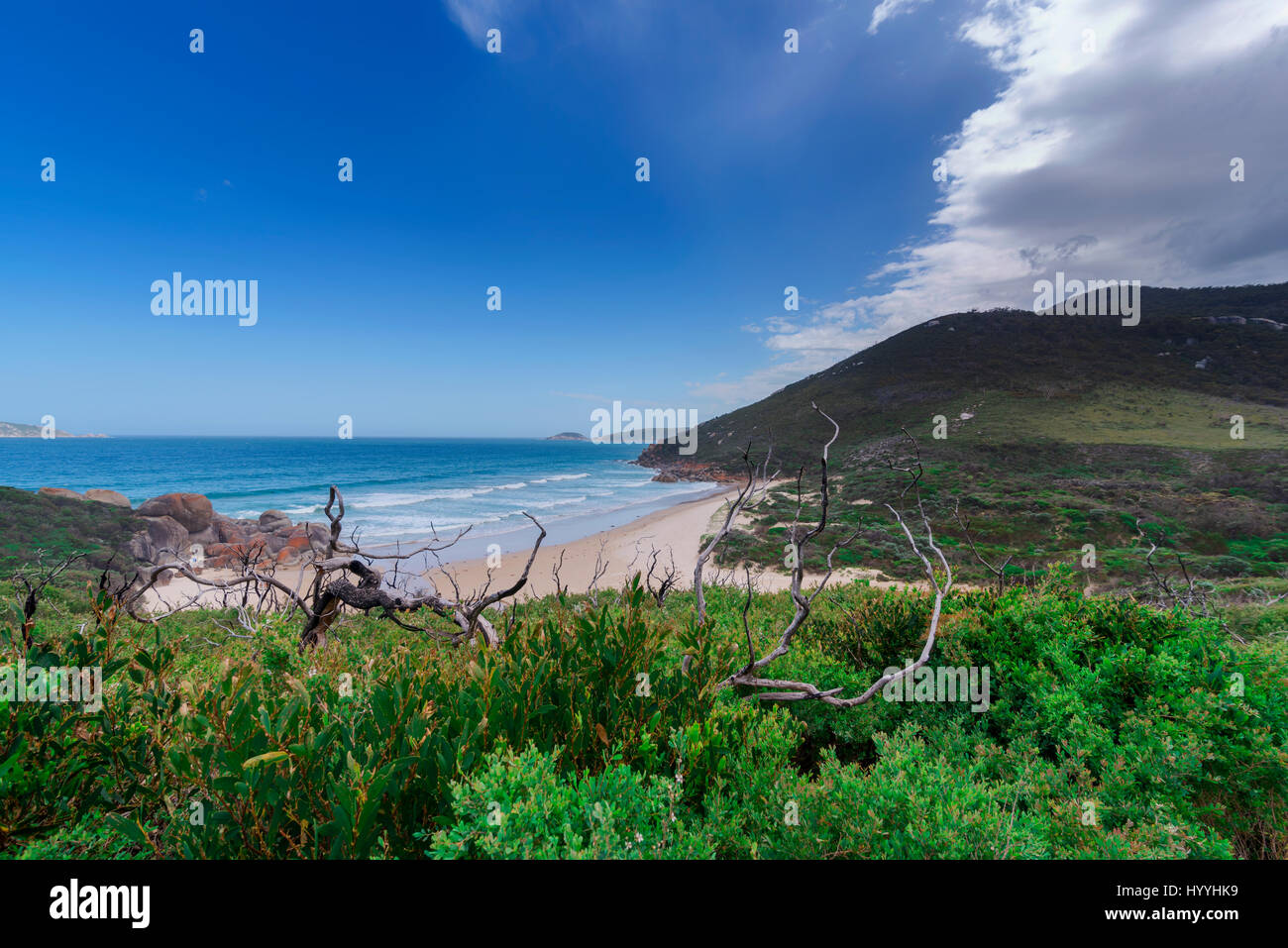 Una bella vista di un luminoso blu del mare in lontananza con il bianco delle onde in rotolamento verso una spiaggia di sabbia bianca con una piccola area boschiva. Foto Stock