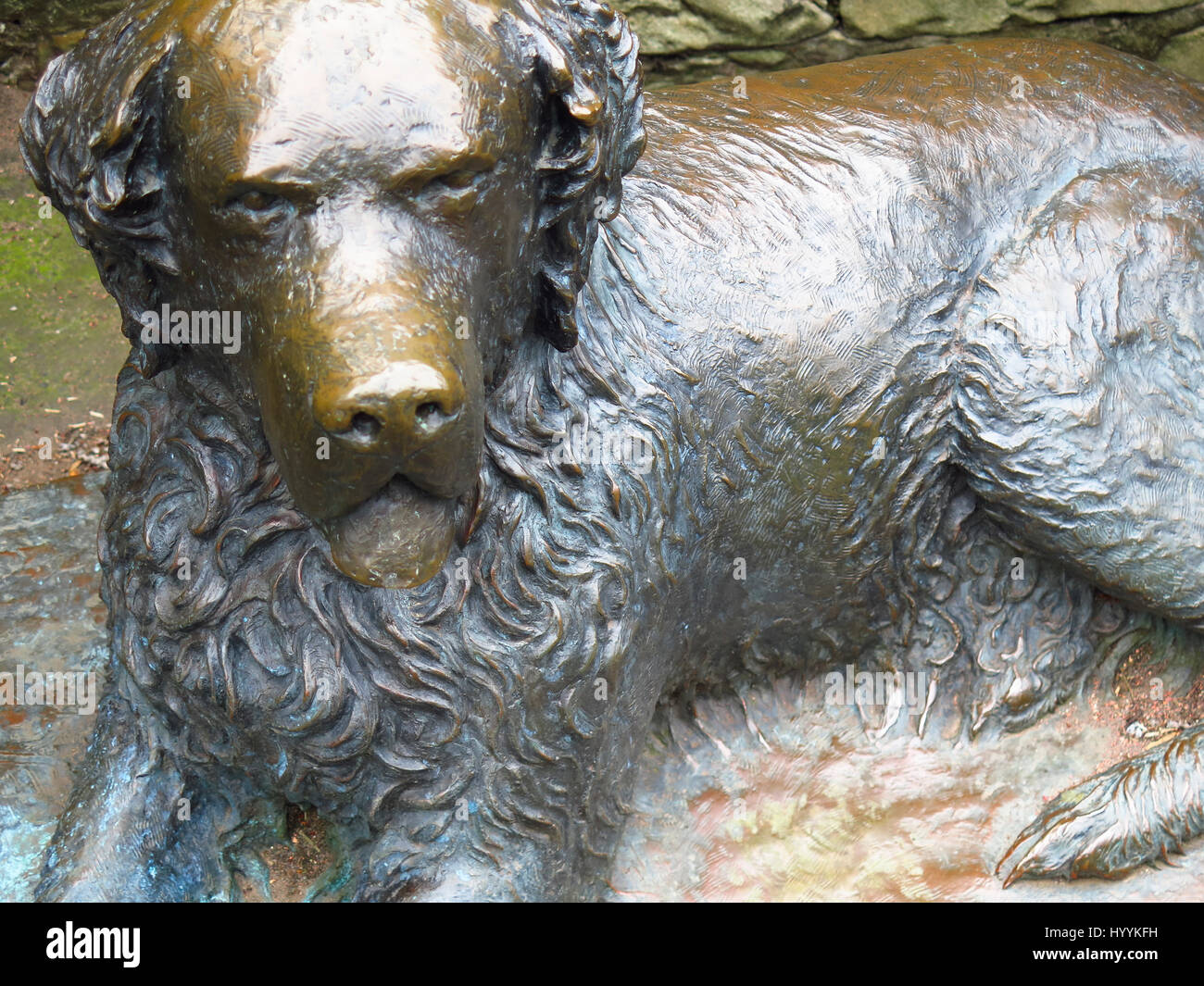 Il modello del cane Bum il San Diego ragabond cane nei giardini di Princes Street Edinburgh Foto Stock