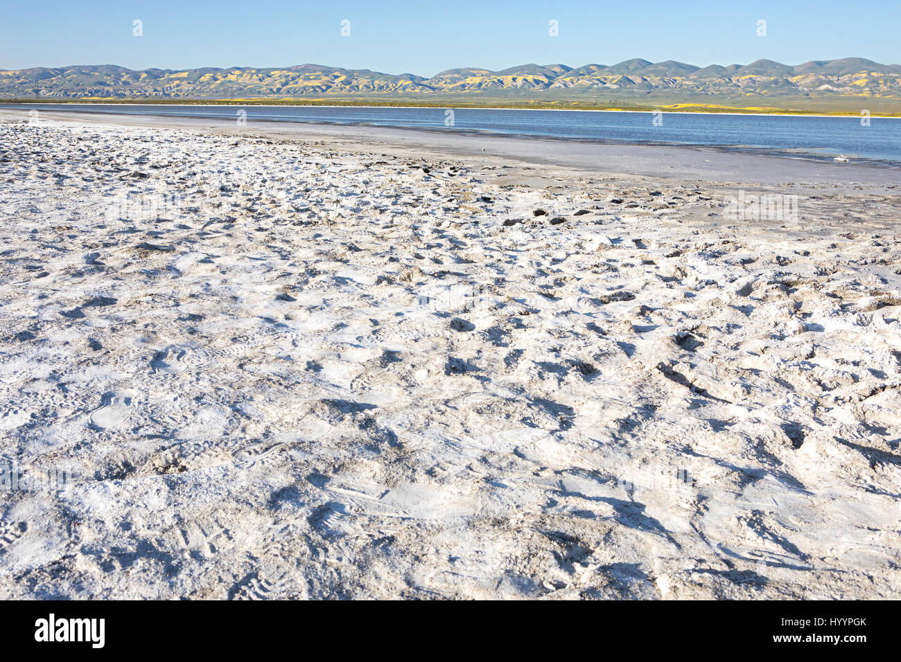 Spiaggia di sale al lago di soda, Carrizo Plain monumento nazionale Foto Stock