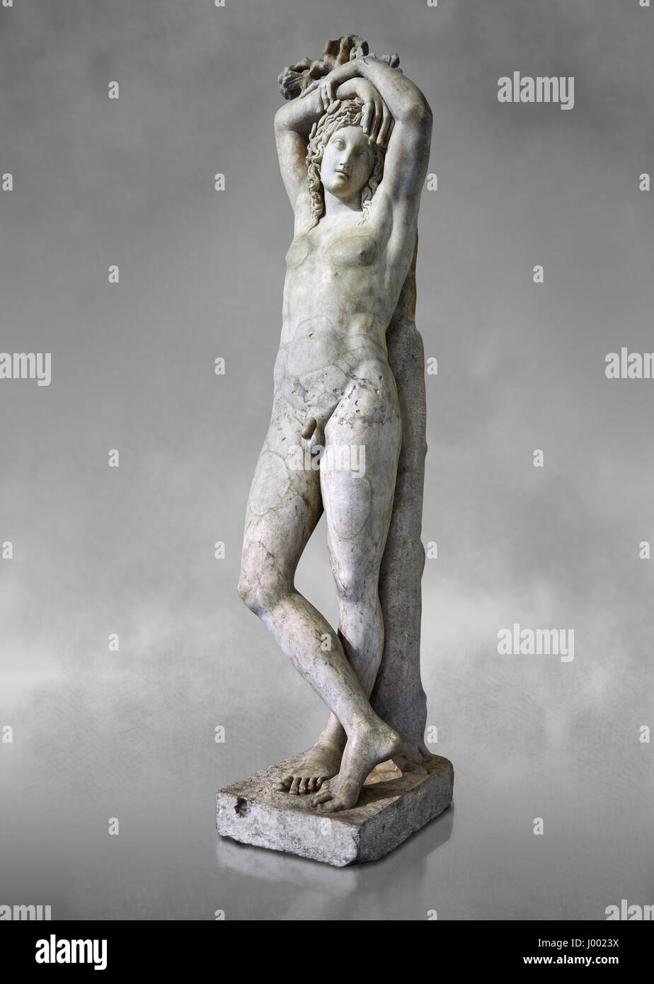 Iii sec. d.c. statua romana di Narciso noto come Marazin ermafroditi o il genio a riposo eterno - Inv n. Signor 207 o Ma 435, al museo del Louvre Foto Stock