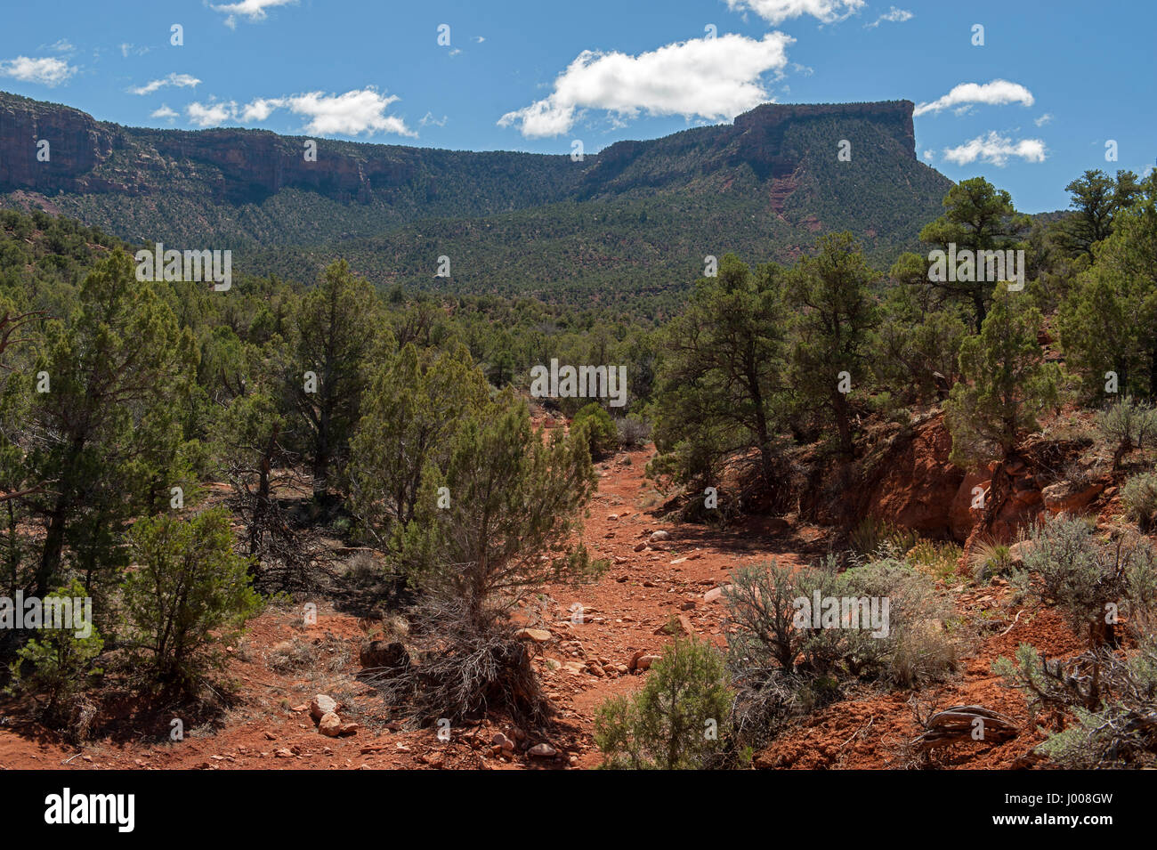 Nascondiglio Canyon, il presunto luogo di uno di Butch Cassidy nascondigli, nella selvaggia e remota backcountry vicino a Moab, Utah. Foto Stock