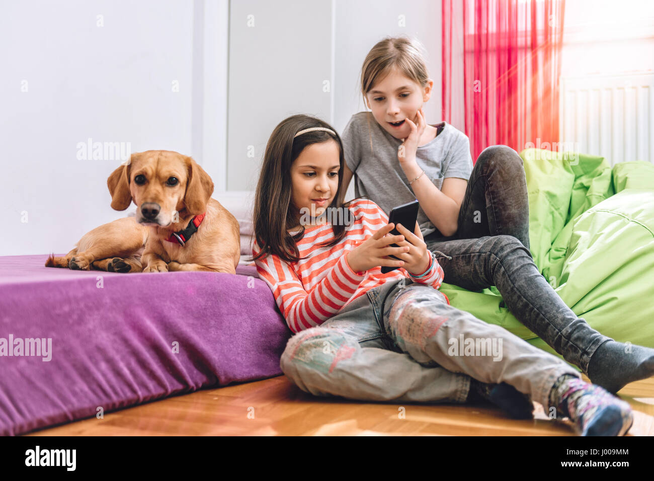 Due ragazze con small yellow dog sitter nella camera dei ragazzi e utilizzando smart phone Foto Stock