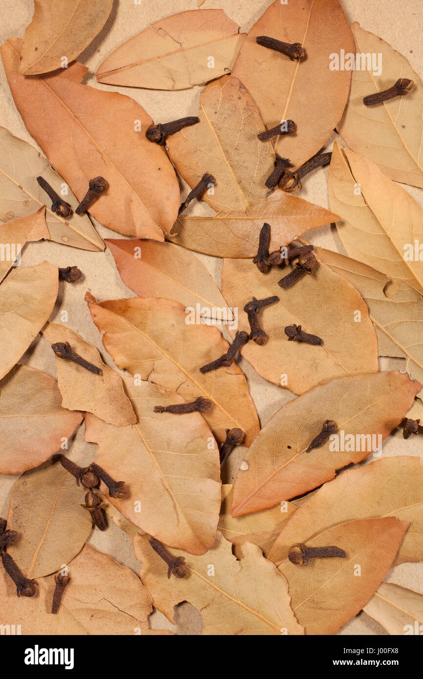 Essiccate le foglie di alloro e chiodi di garofano su un piano portapaziente marrone Foto Stock