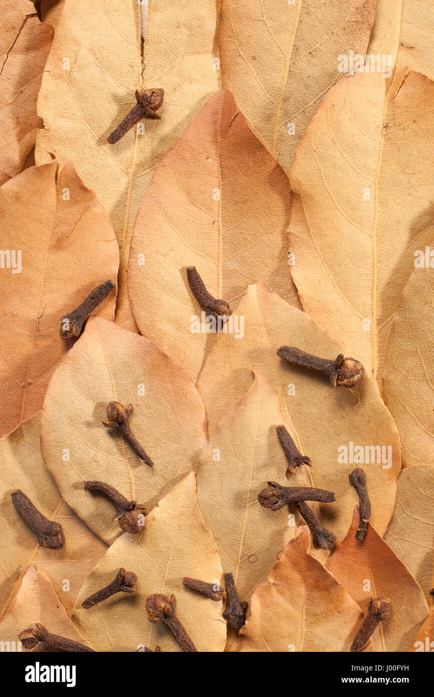Closeup fino di secche foglie di alloro e chiodi di garofano come ingredienti di cottura Foto Stock