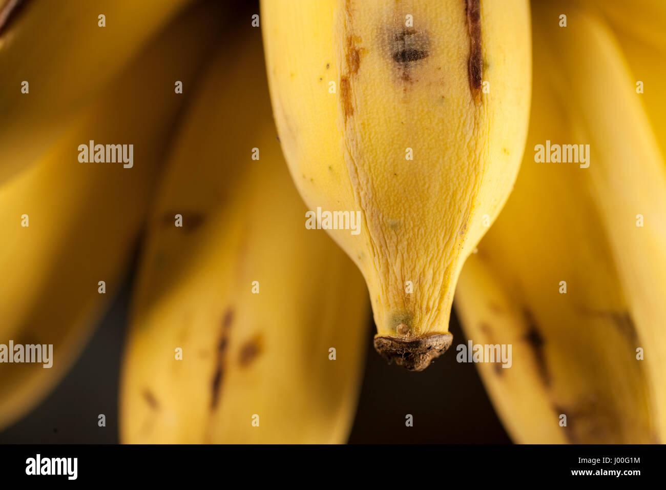 Macro dettaglio di un grappolo di banane provenienti dalla Thailandia Foto Stock