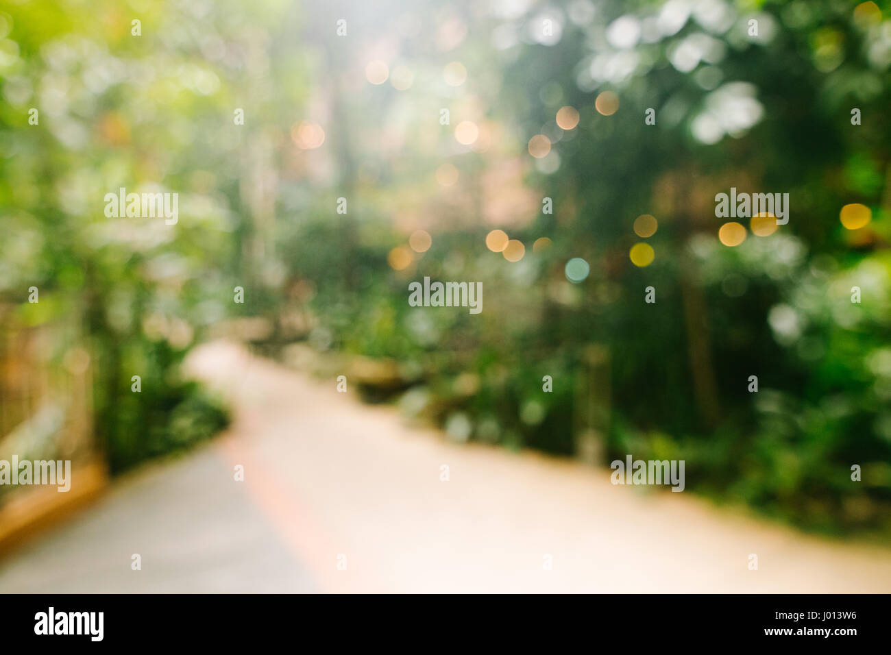 Defocalizzata natura astratta giardino lo sfondo con il percorso. Sfocata parco giardino sfondo. Foto Stock
