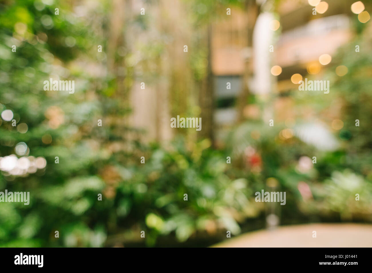 Defocalizzata natura astratta del giardino con sfondo bokeh luci. Sfocata parco giardino sfondo. Foto Stock