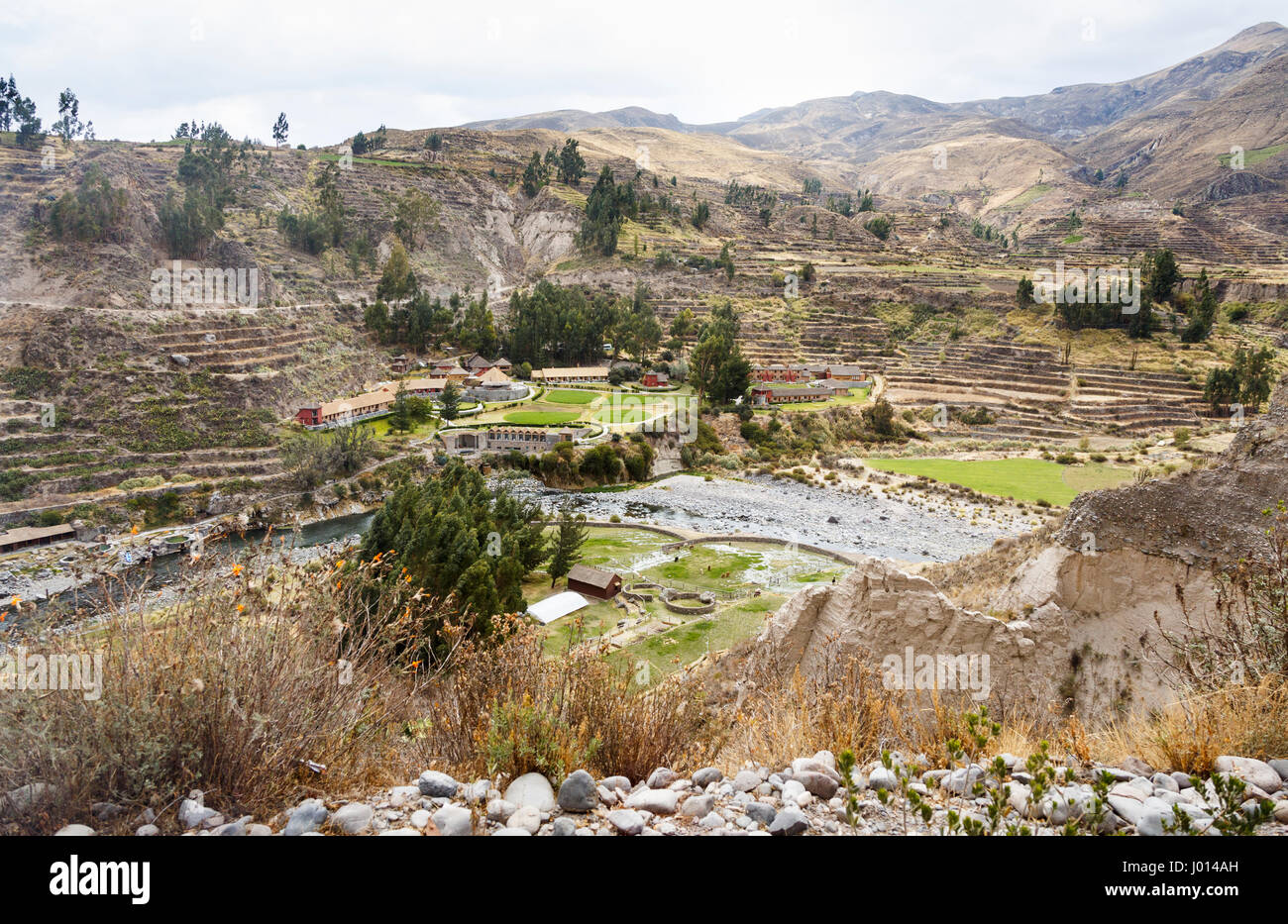 Pre-Inca e terrazze Incas su una collina nei pressi di Colca Lodge Spa & Hot Springs Hotel nel canyon di Colca, Yanque, Caylloma provincia, regione di Arequipa, Perù Foto Stock