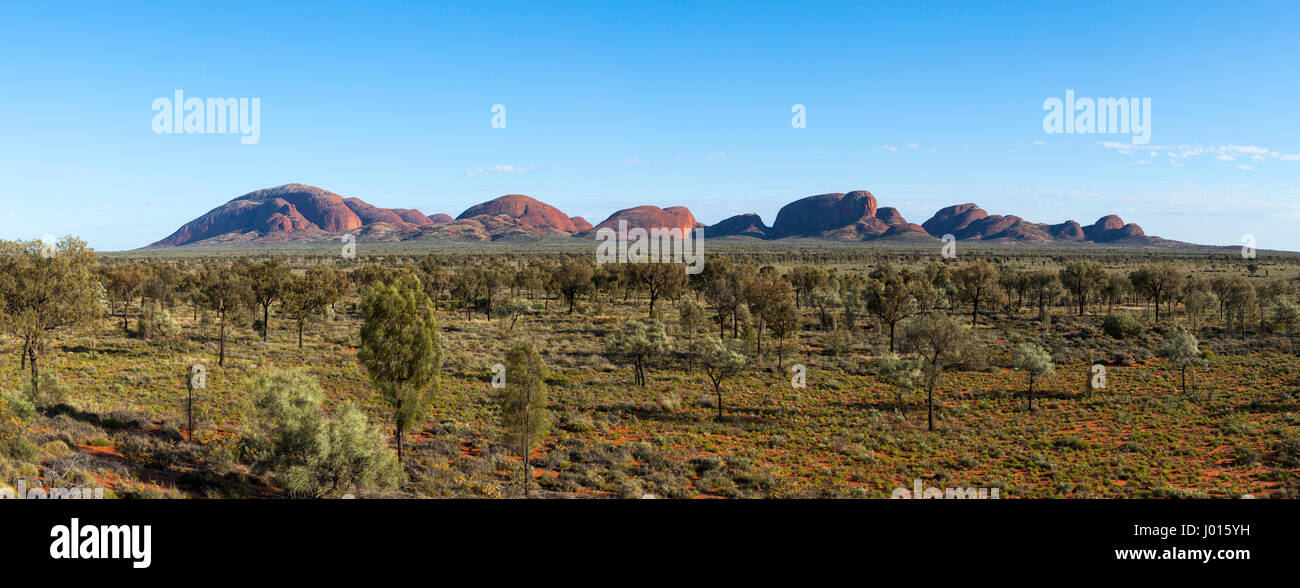 L'Olgas o Kata Tjuta, Uluru-Kata Tjuta National Park, il Territorio del Nord, l'Australia Foto Stock