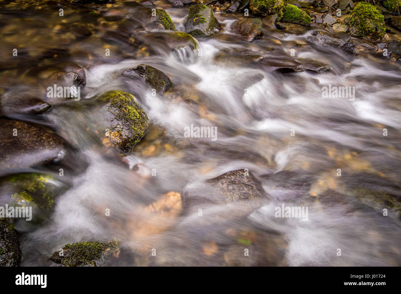 Lento produce shutterspeed lattiginoso acqua liscia che scorre in un fiume Foto Stock