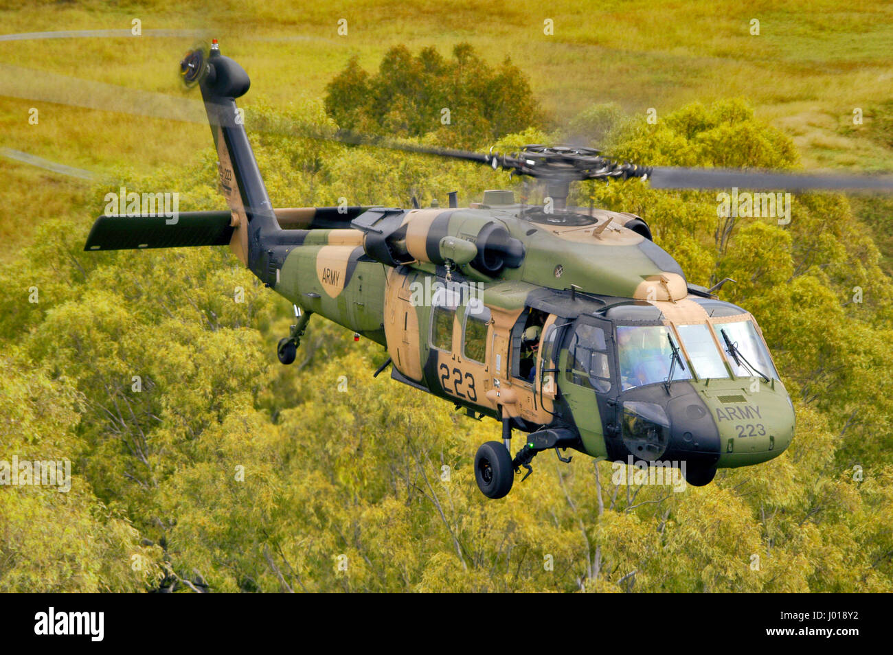 Una veduta aerea di un Sikorsky Blackhawk elicottero del Regio esercito australiano in basso su terra di bush. Foto Stock