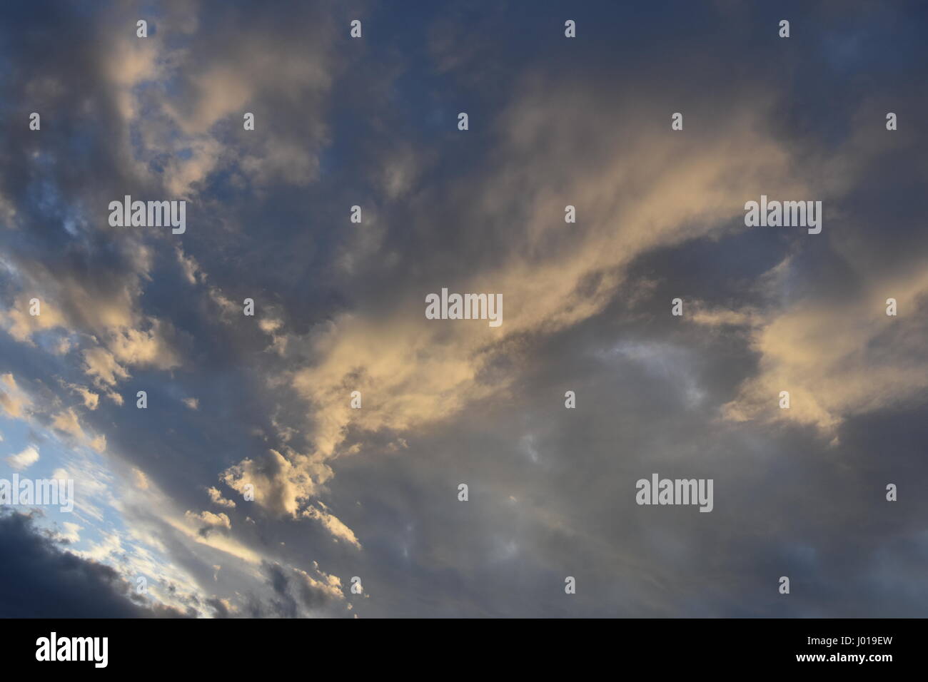 Tramonto angolata con scorcio di alberi e cielo chiaro Foto Stock