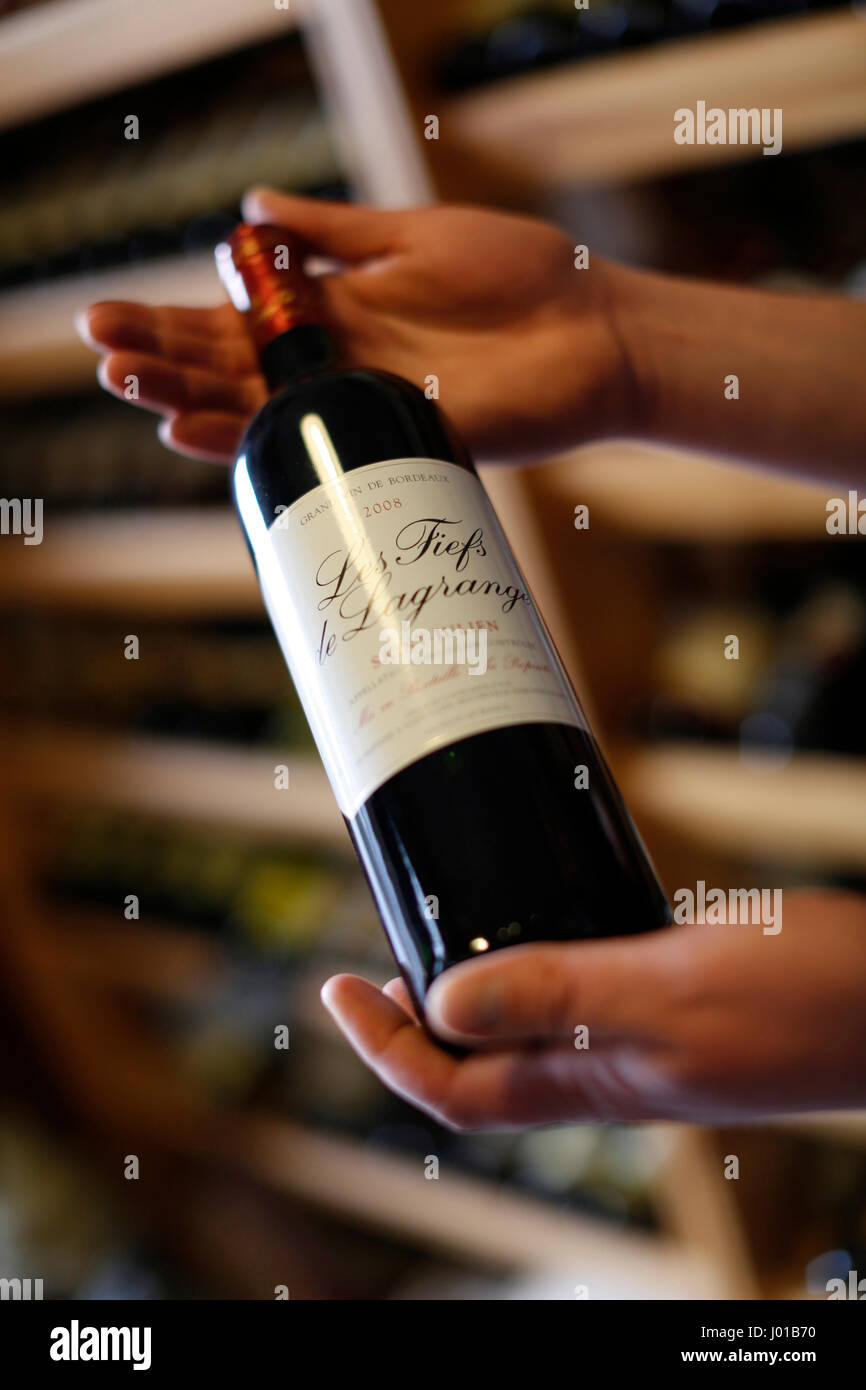 Mani tenendo una bottiglia di vino, enoteca, Carlsbad, Repubblica Ceca Foto Stock