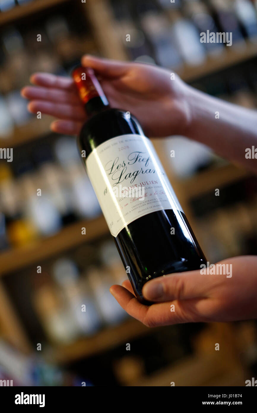 Mani tenendo una bottiglia di vino, enoteca, Carlsbad, Repubblica Ceca Foto Stock