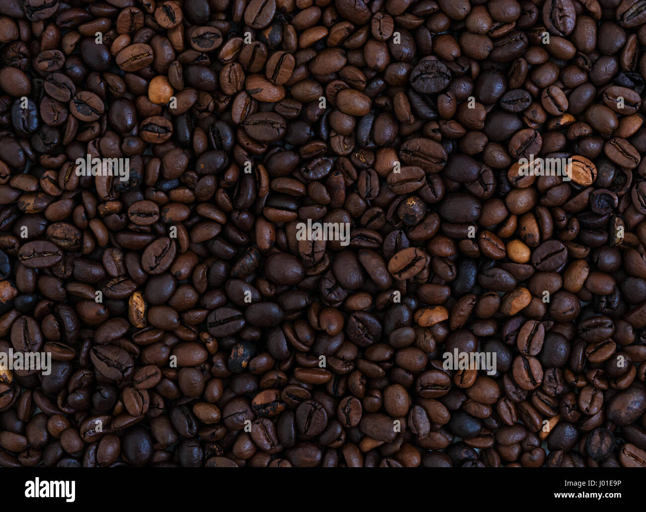 Puzzle 500 Pezzi Chicchi Di Caffè: Sfida Impossibile Per Veri Appassionati, 50x38 Cm