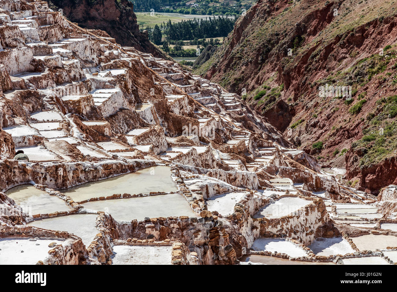 Le miniere di sale di terrazze e vasche, Salineras de Maras. Perù Foto Stock