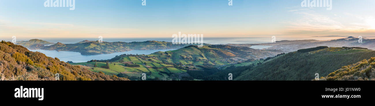 Vista dal Monte Cargill Dunedin con il porto di Otago e la penisola di Otago, Dunedin,, Otago Southland, Nuova Zelanda Foto Stock