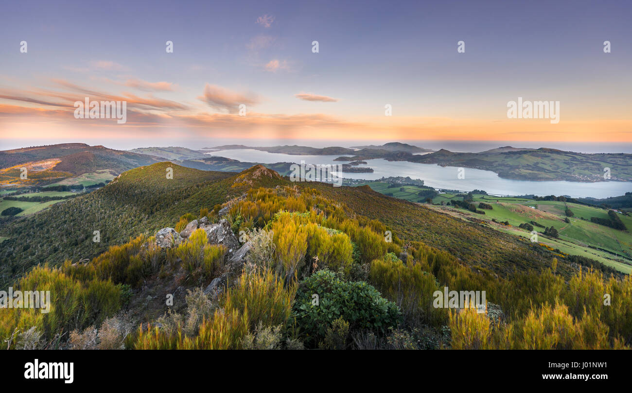 Vista dal Monte Cargill Dunedin con il porto di Otago e la penisola di Otago, Tramonto, Dunedin, Otago Southland, Nuova Zelanda Foto Stock