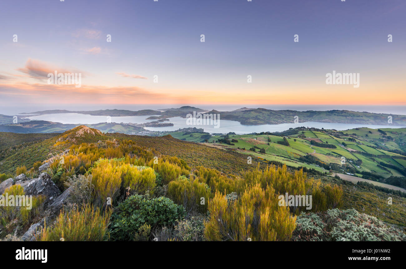Vista dal Monte Cargill Dunedin con il porto di Otago e la penisola di Otago, Tramonto, Dunedin, Otago Southland, Nuova Zelanda Foto Stock