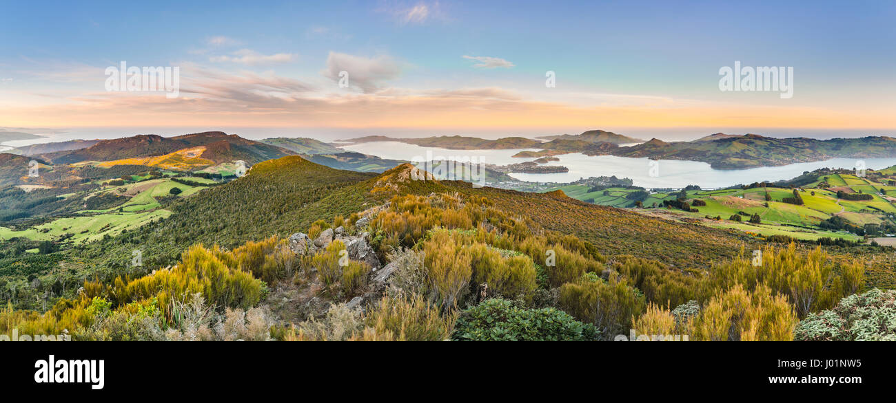 Vista dal Monte Cargill Dunedin con il porto di Otago e la penisola di Otago, Dunedin,, Otago Southland, Nuova Zelanda Foto Stock