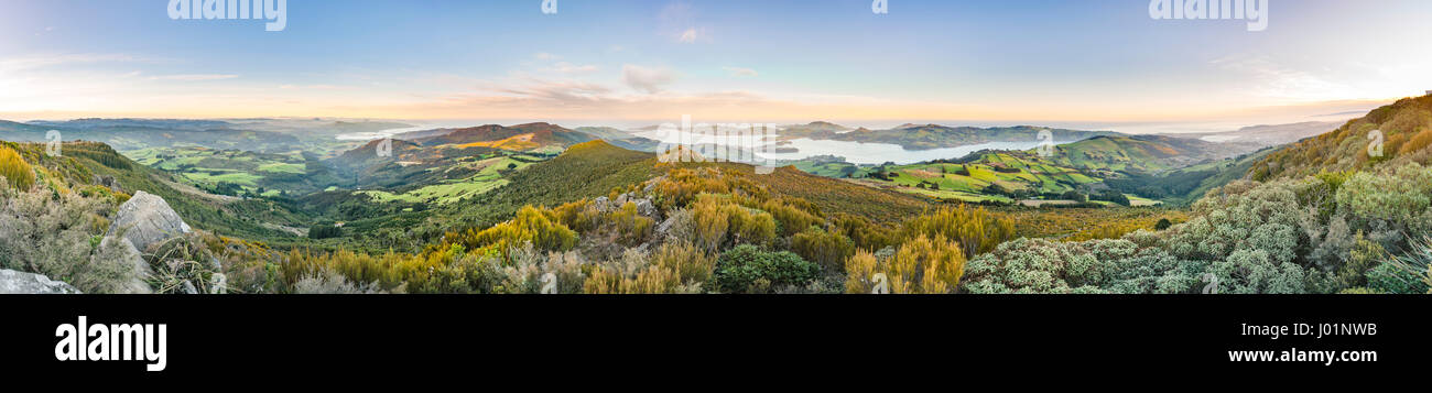Vista dal Monte Cargill Dunedin con il porto di Otago e la penisola di Otago, Dunedin,, Otago Southland, Nuova Zelanda Foto Stock