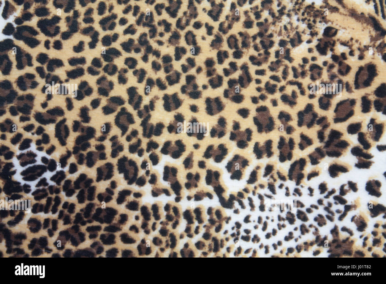Leopard fur la texture della pelle sfondo Foto Stock