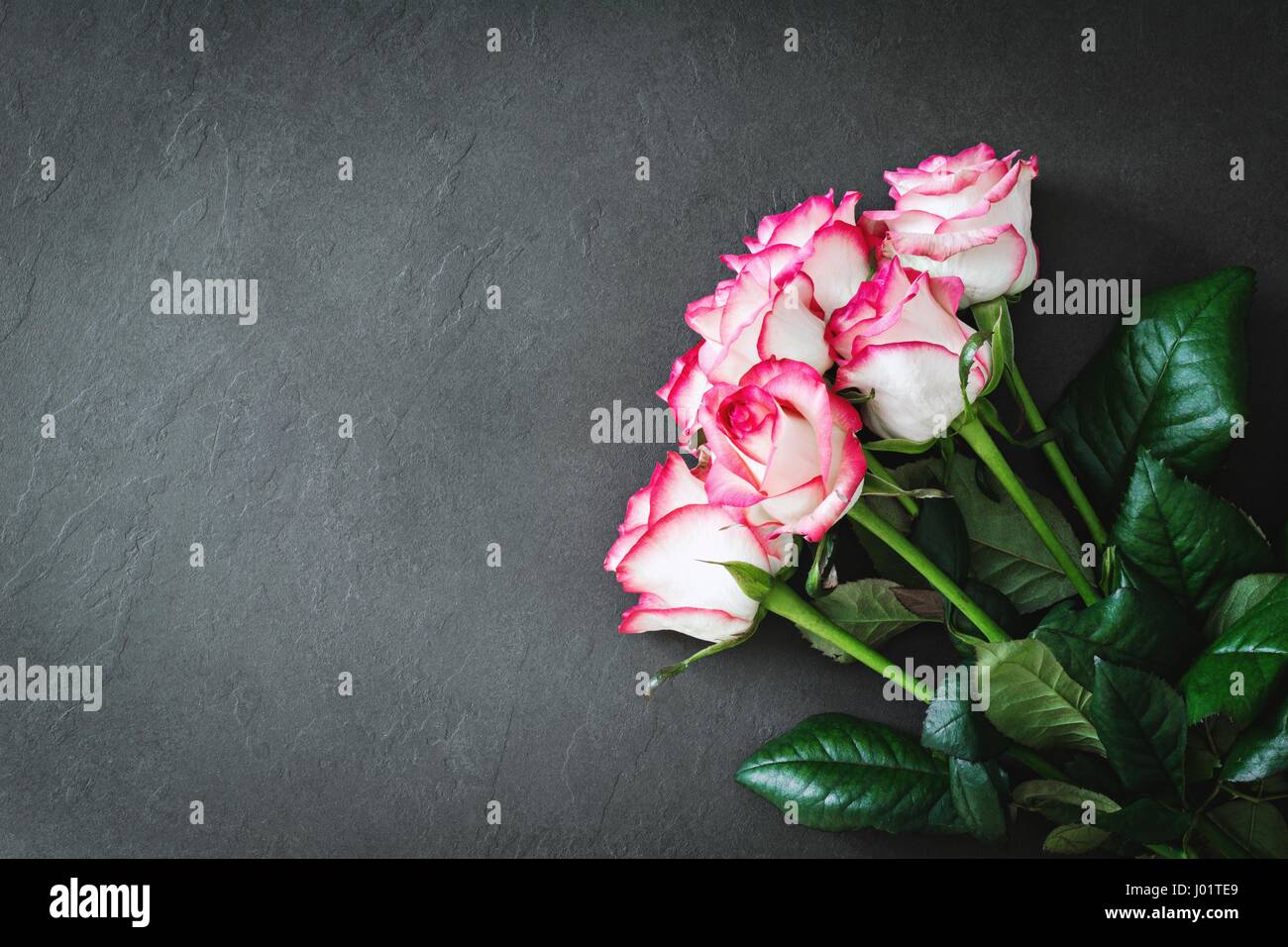 Cornice floreale con rose rosa. Bouquet di rose rosa in pietra grigia con uno sfondo con spazio di copia Foto Stock