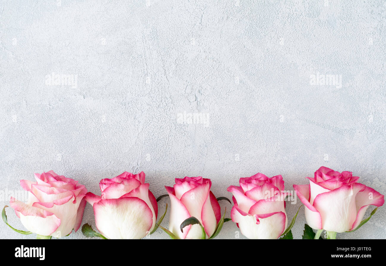 Rosa e rose bianche su sfondo di calcestruzzo con copia spazio per il testo. Scheda floreali, sfondo floreale, design mock up per la giornata della donna, la festa della mamma Foto Stock