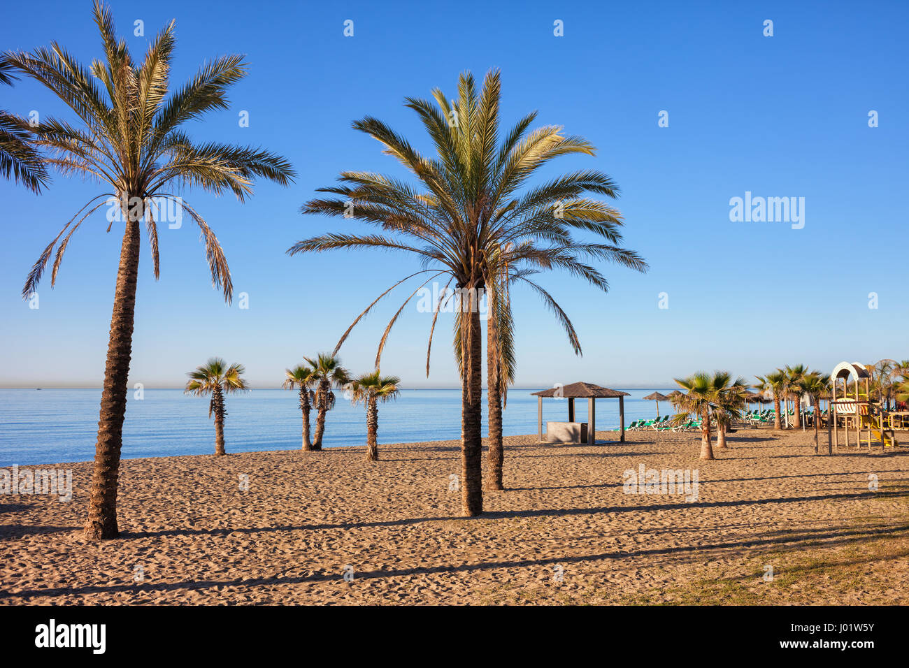 Spagna, Marbella, spiaggia con palme in città resort sulla Costa del Sol e al Mar Mediterraneo. Foto Stock