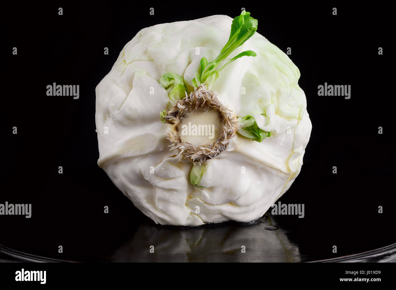 I germogli di cavolo con radici Foto Stock