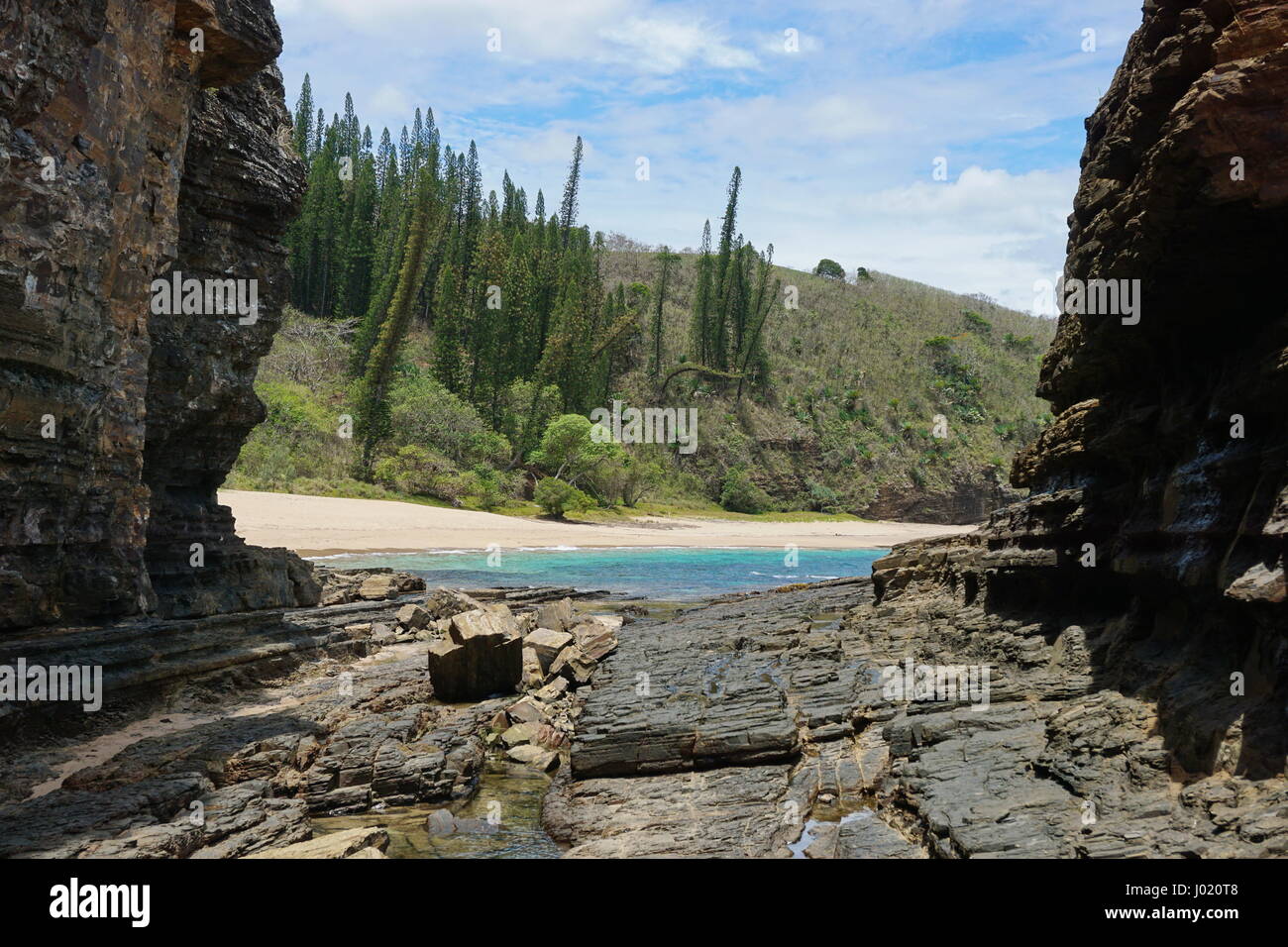 Il paesaggio costiero in Nuova Caledonia, spiaggia, rocce e pini endemici a Turtle Bay, Bourail, Grande Terre, l'isola del Sud Pacifico Foto Stock