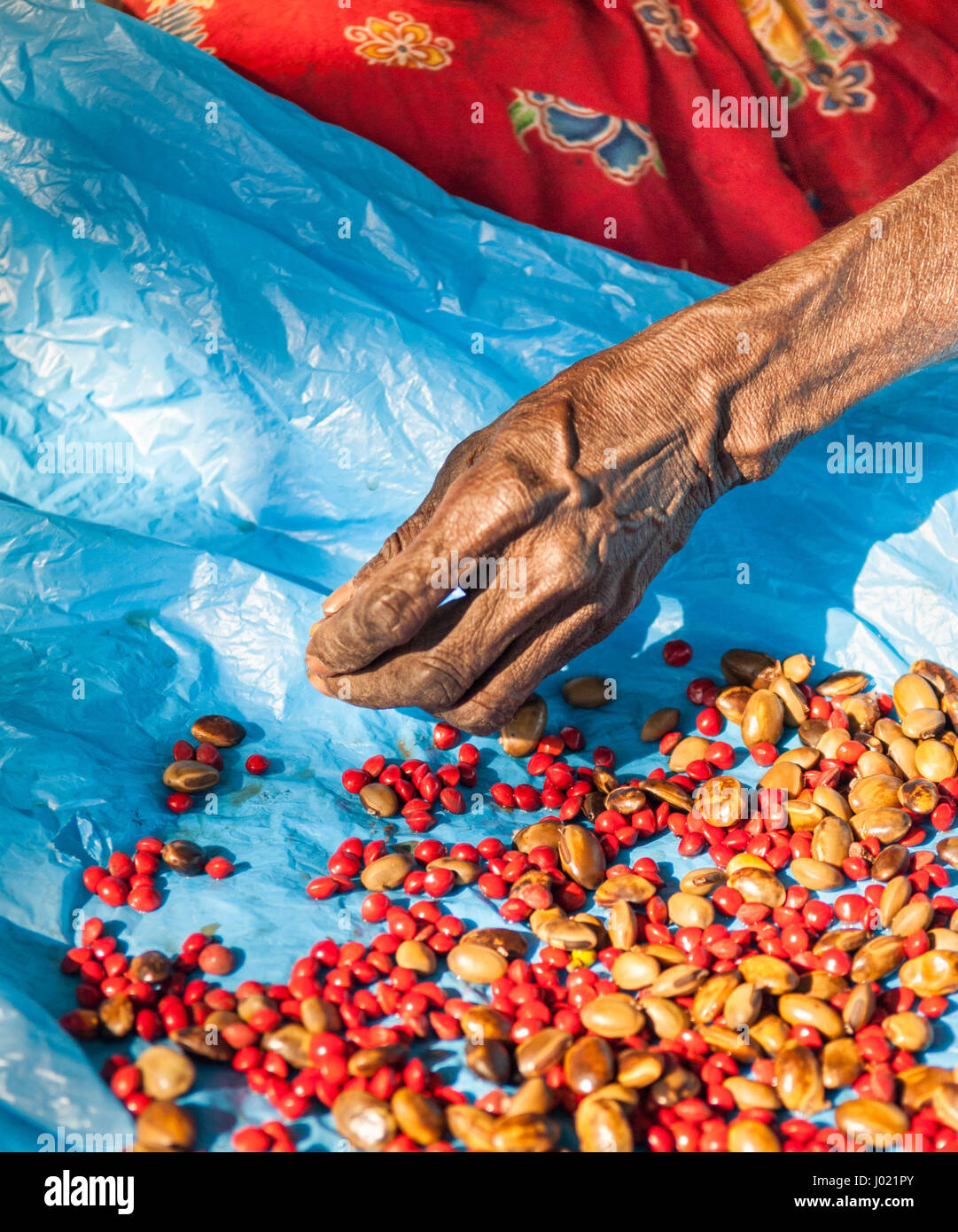 Donna aborigena la mano la gioielleria. Territori del Nord, Australia Foto Stock