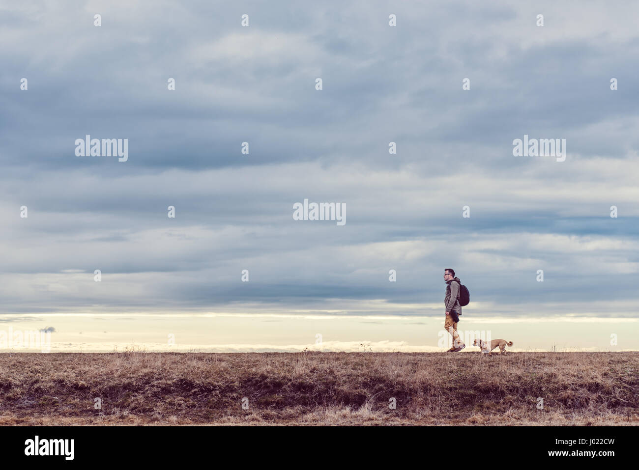 Escursionista e cane a camminare in prati in un giorno nuvoloso Foto Stock
