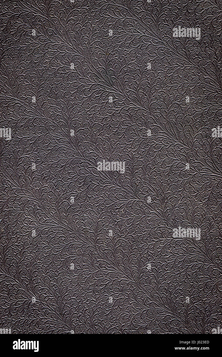 Vintage per la copertina del libro texture con un motivo goffrato. Foto Stock