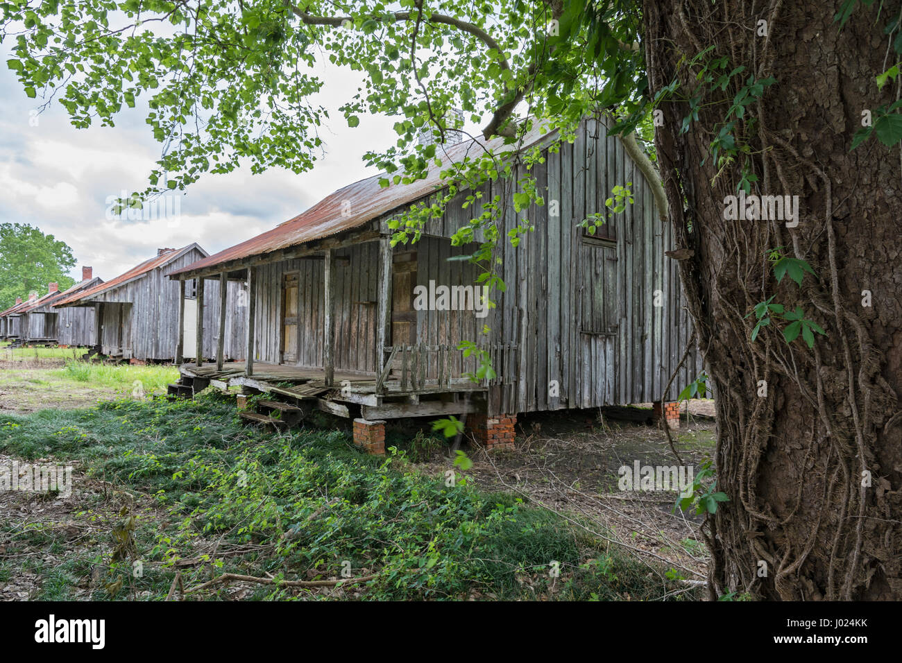 In Louisiana, Thibodaux, alloro Valley Village, piantagione di zucchero museum, case di lavoratore Foto Stock