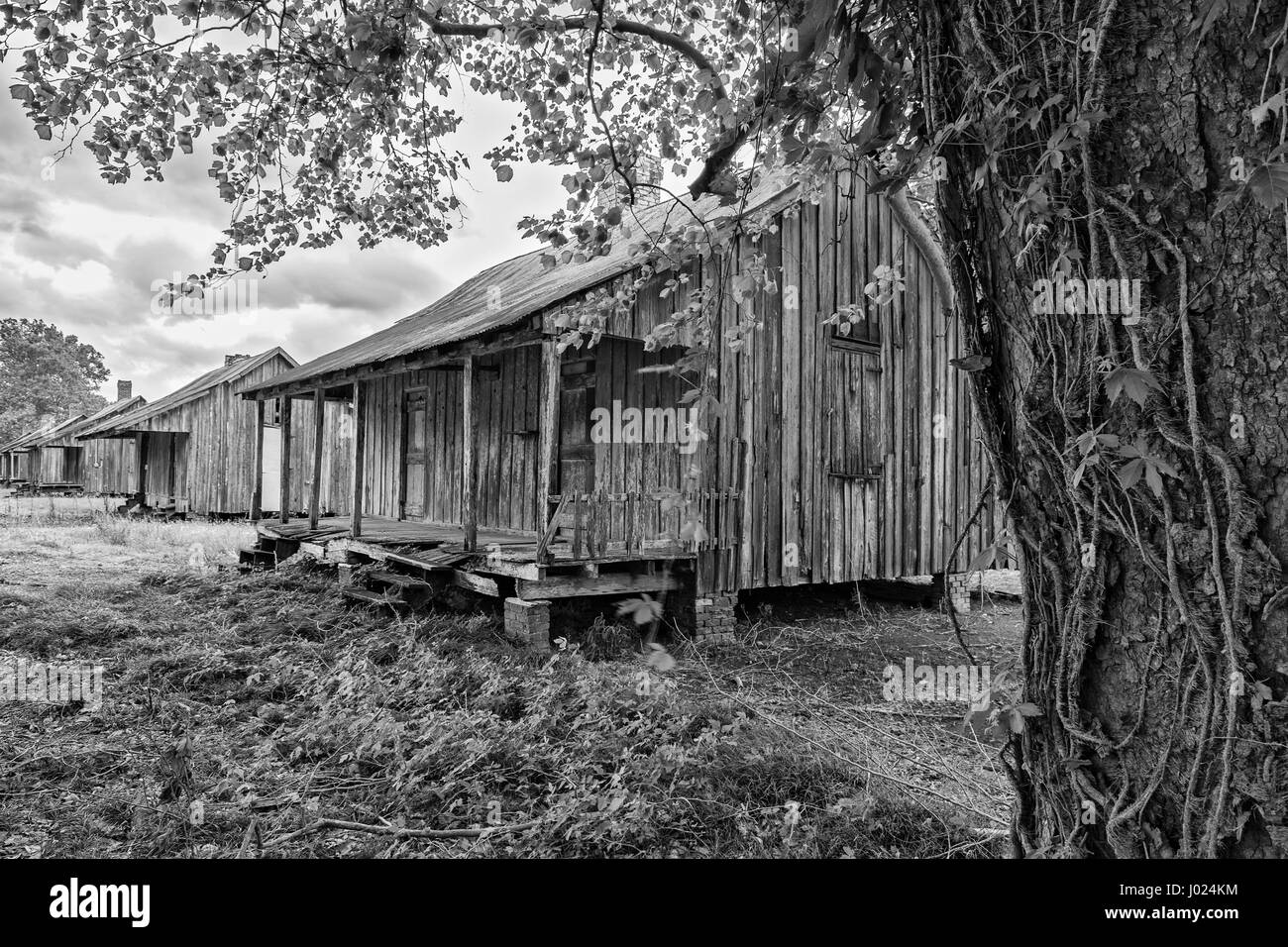 In Louisiana, Thibodaux, alloro Valley Village, piantagione di zucchero museum, case di lavoratore, monocromatico Foto Stock