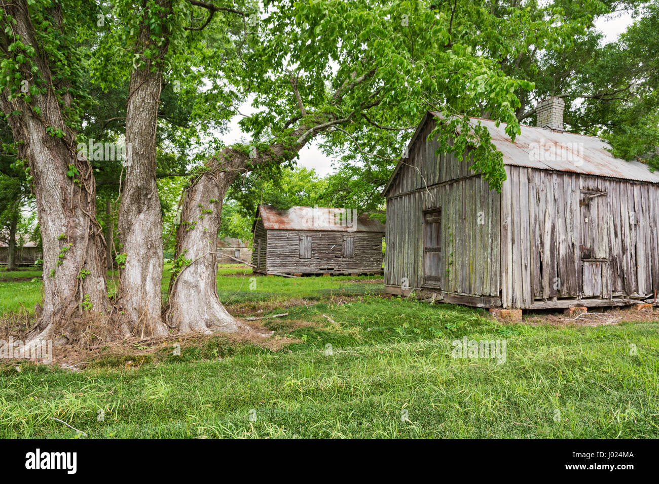 In Louisiana, Thibodaux, alloro Valley Village, piantagione di zucchero museum Foto Stock