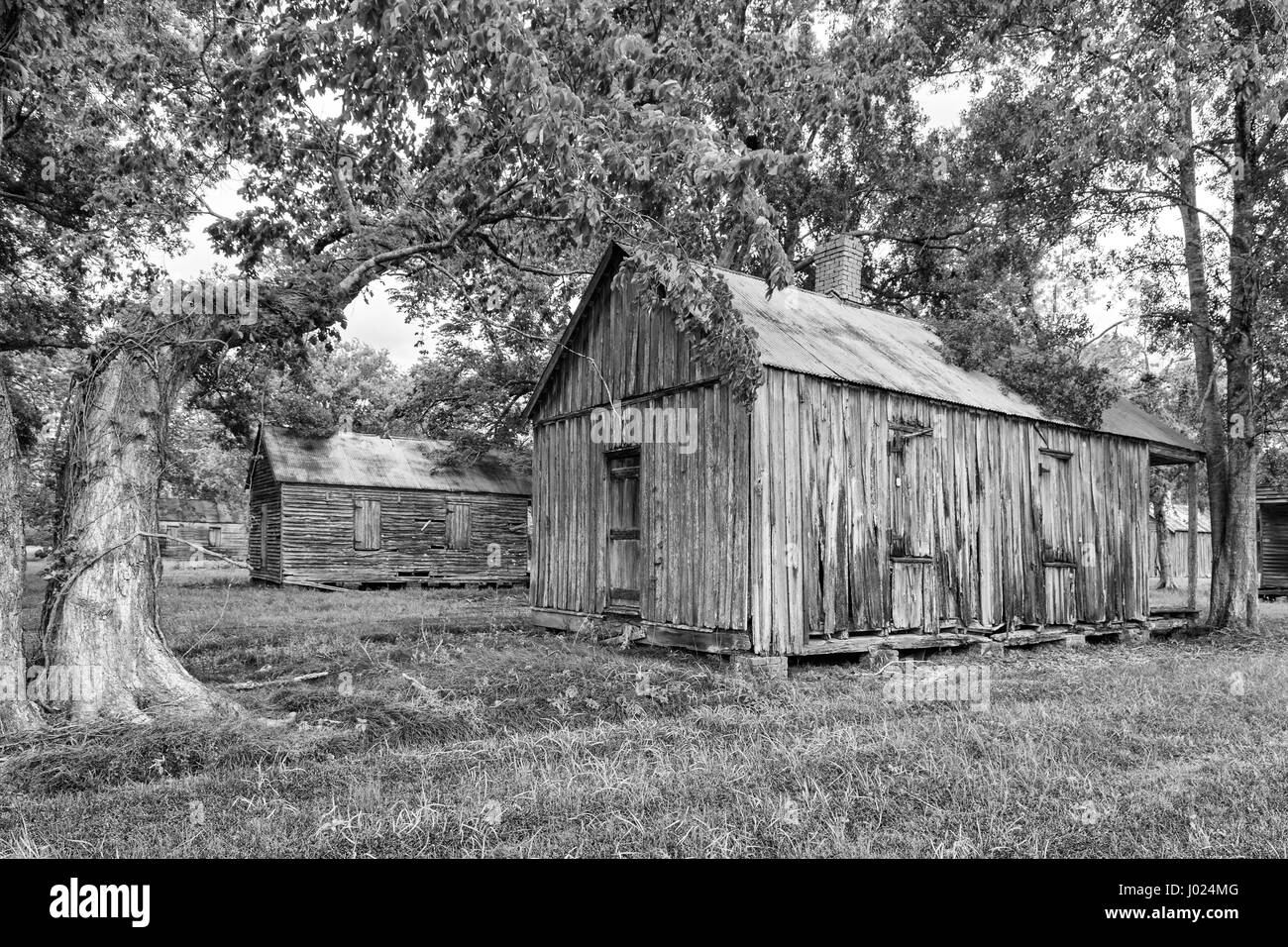 In Louisiana, Thibodaux, alloro Valley Village, piantagione di zucchero museum, monocromatico Foto Stock