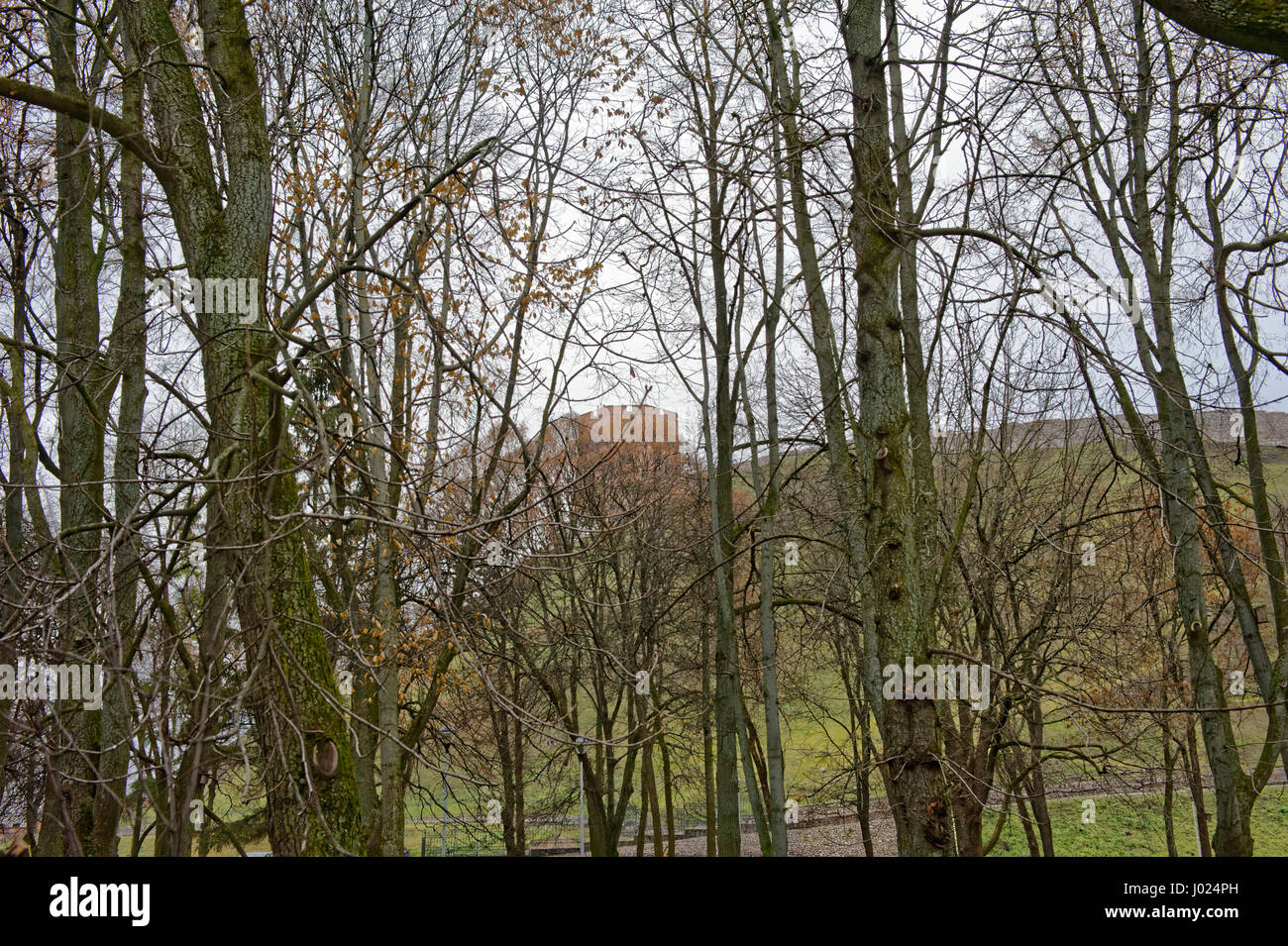 Vilnius Hauptstadt Litauens.europa.Gediminas-Turm. Foto Stock