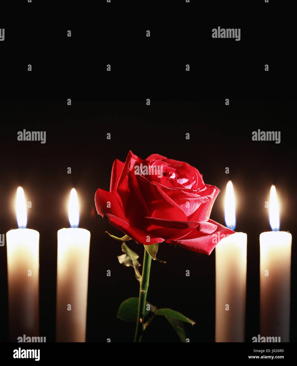 Red Rose e pochi accendendo candele su sfondo scuro Foto Stock