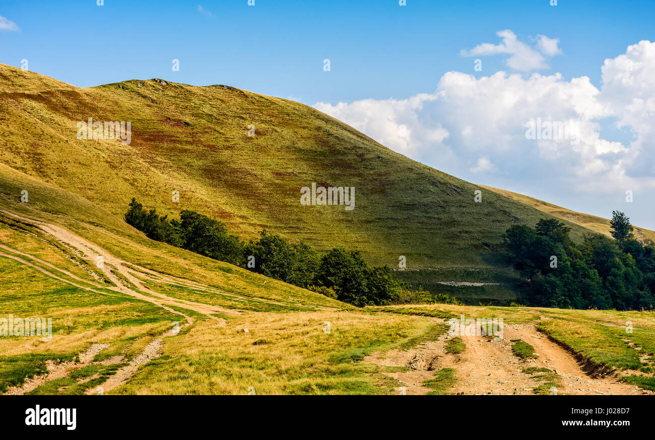 Percorso di avvolgimento attraverso grandi prati sulla collina. Tracciamento dei Carpazi in salita montagna cresta. calda e soleggiata giornata autunnale con cielo nuvoloso. Foto Stock