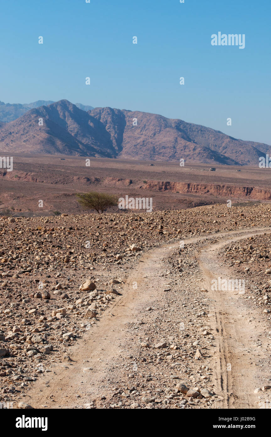Giordania: tracce nel paesaggio del deserto di Dana Riserva della Biosfera, un'area protetta che è un crogiolo di specie provenienti da Europa, Africa e Asia Foto Stock