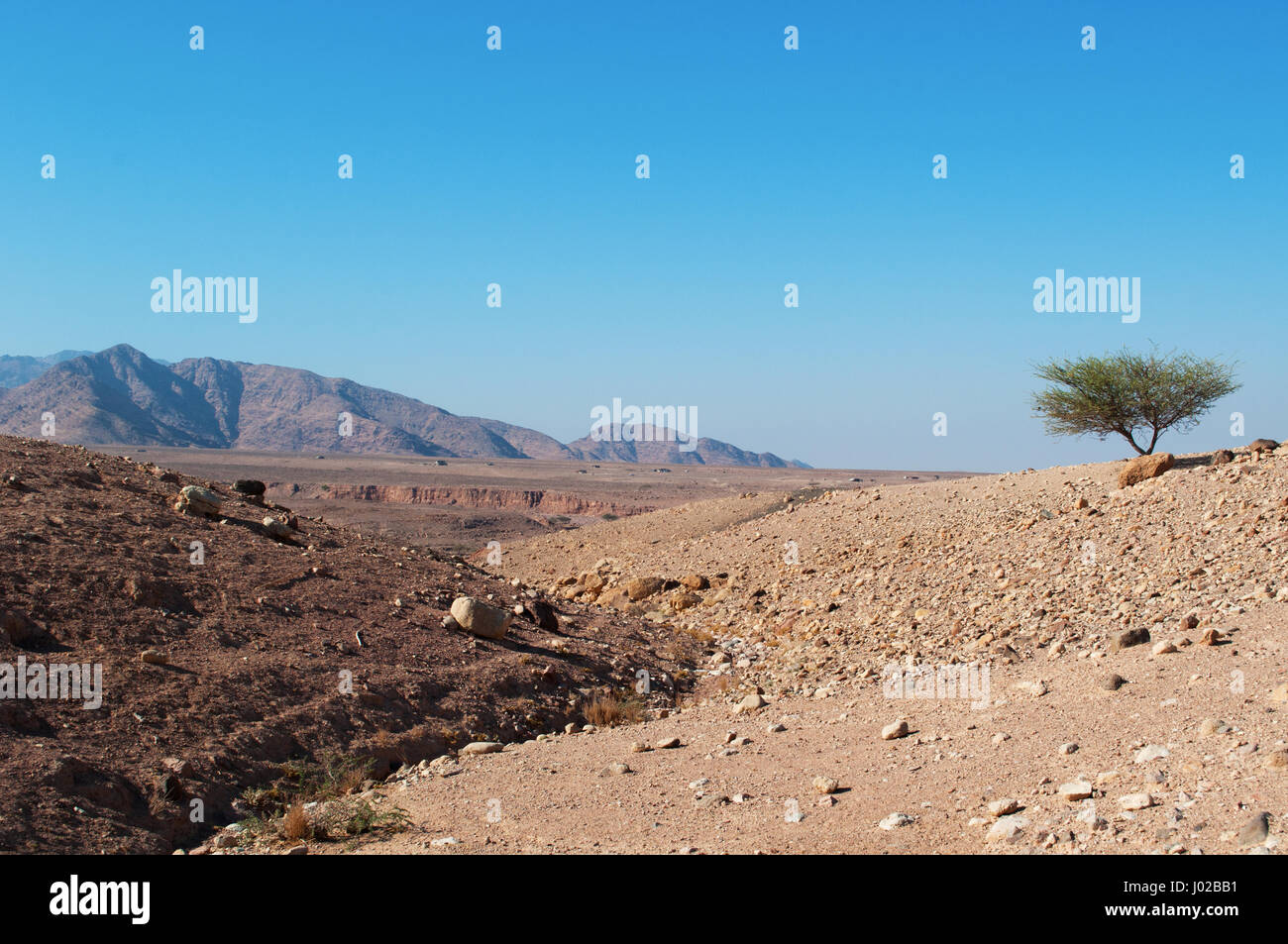 Giordania, Medio Oriente: il paesaggio desertico di Dana Riserva della Biosfera, un'area protetta che è un crogiolo di specie provenienti da Europa, Africa e Asia Foto Stock