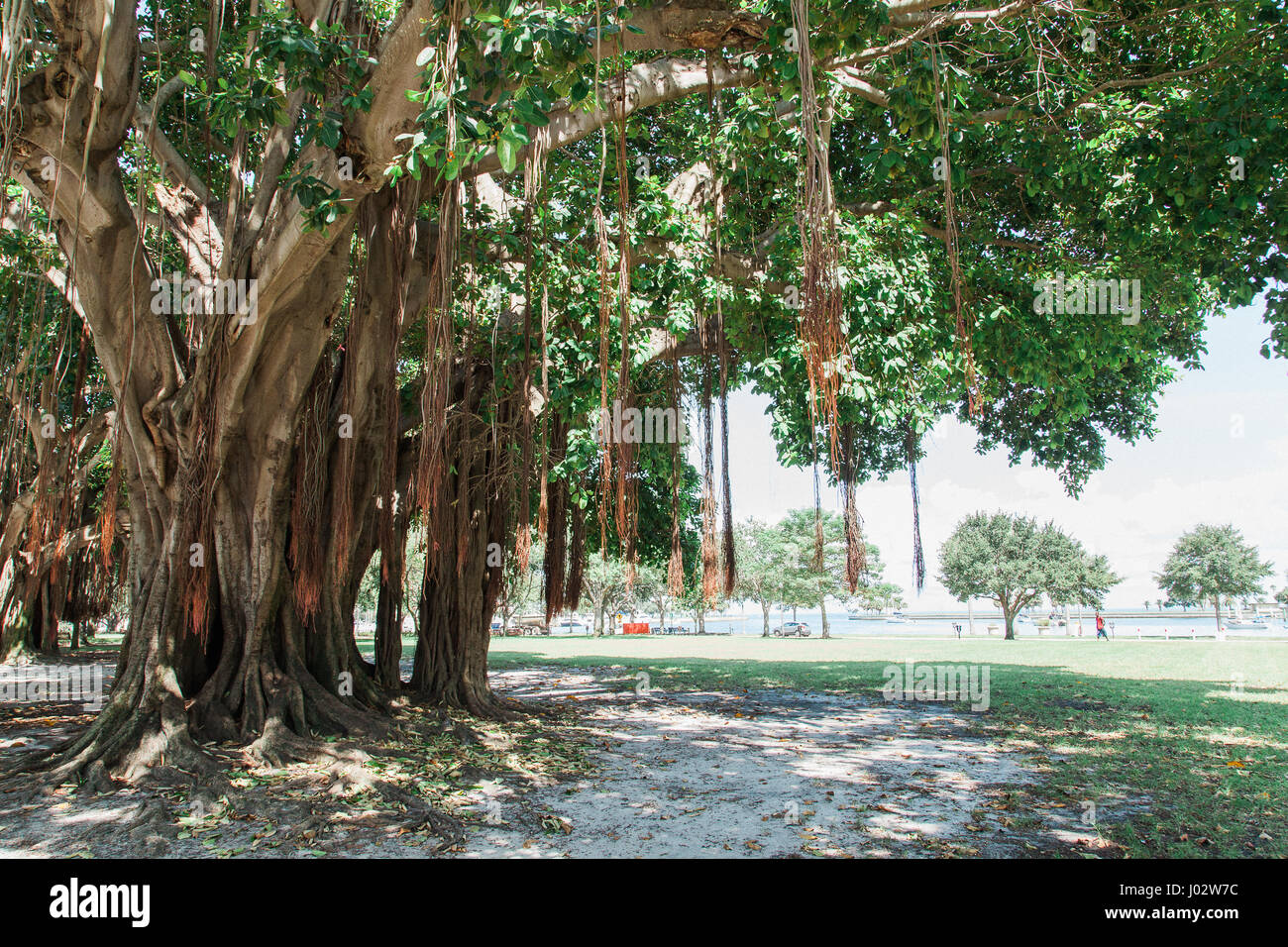 Vinoy Park in Saint Petersburg Florida Foto Stock