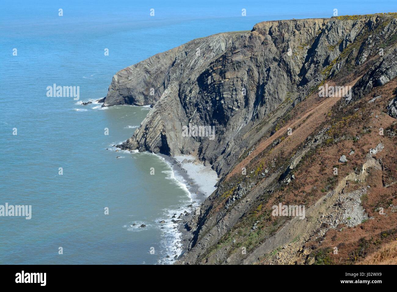 Traeth Godir Coch contorte strata rock formazione Cemaes Head Riserva Naturale St Dogmaels Pembrokeshire Coast National Park Galles cymru REGNO UNITO GB Foto Stock