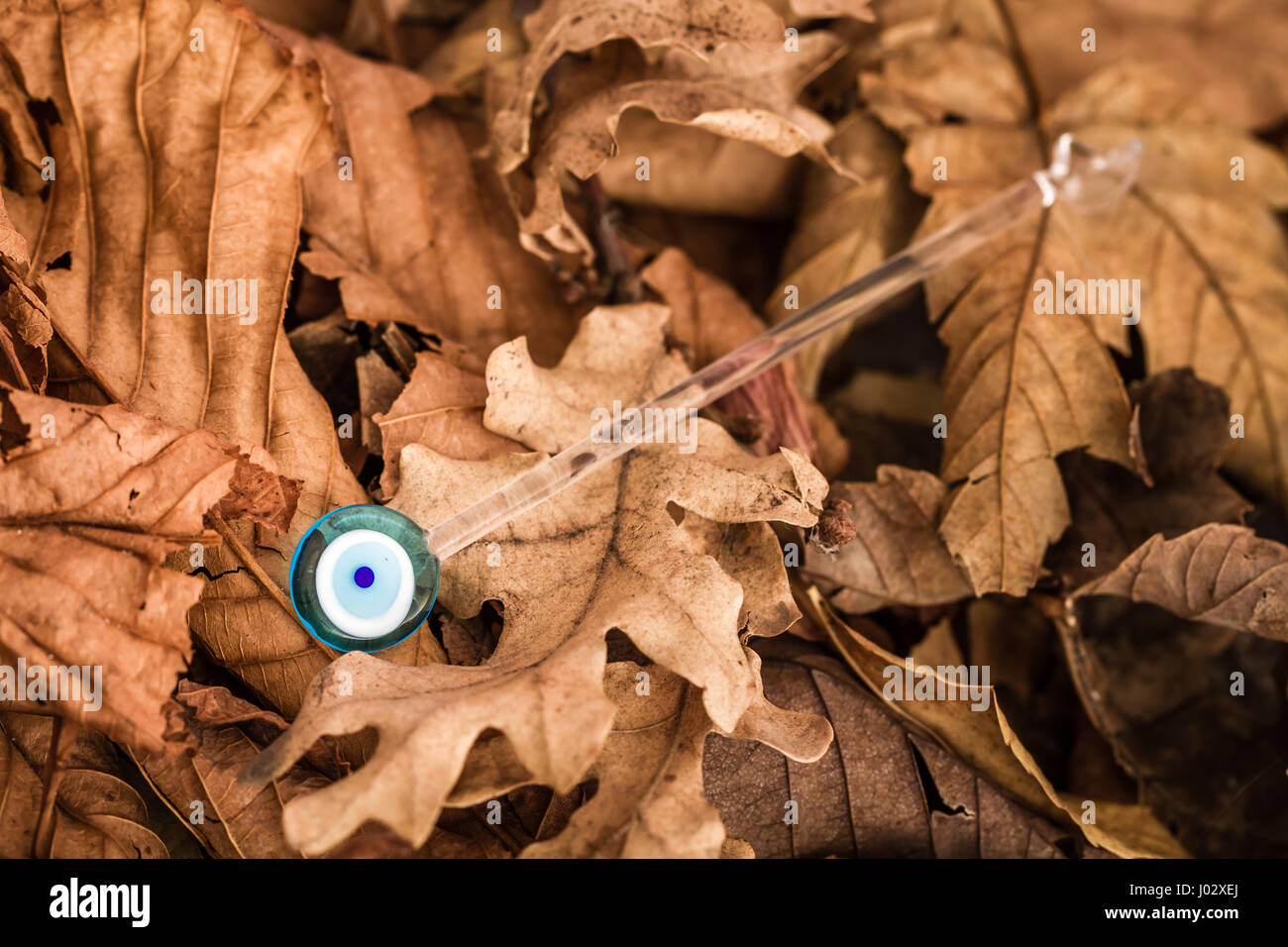 Colorate vetro fatto a mano cucchiaino su foglie secche sfondo Foto Stock