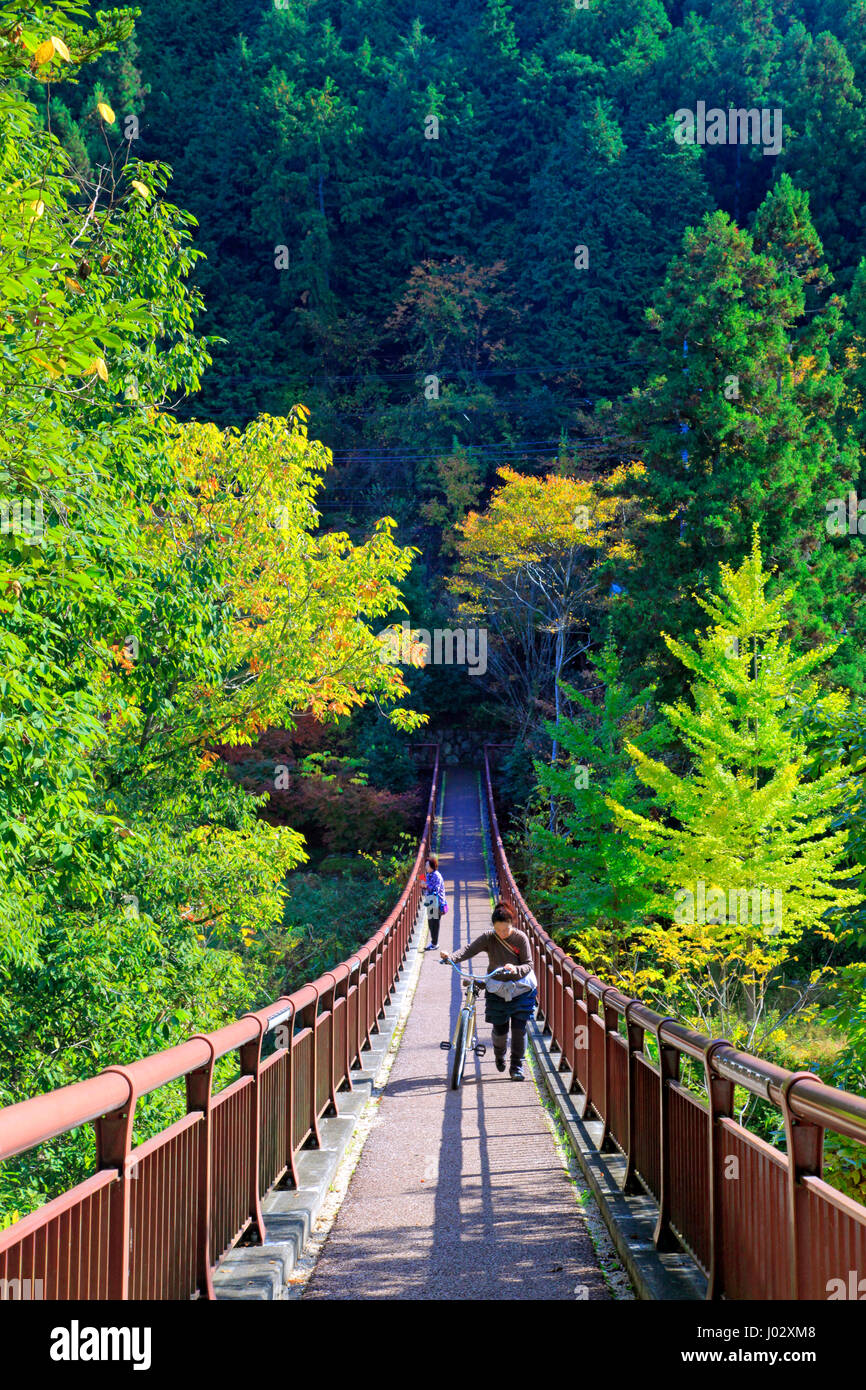 Ponte Ishibunebashi Akigawa Keikoku Valley Akiruno-shi Tokyo Giappone Foto Stock