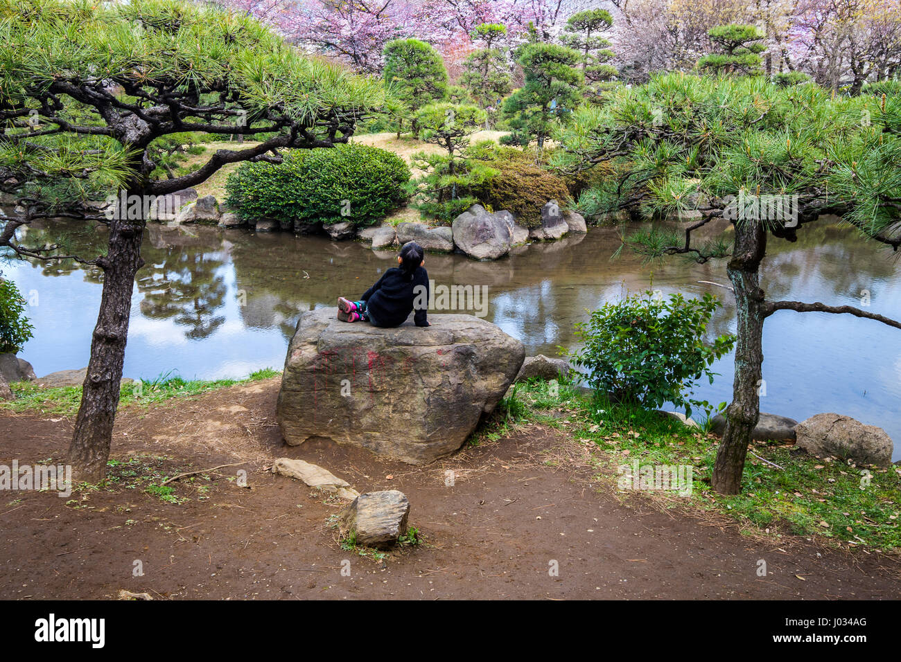 Il Parco Sumida stagno giapponese giardino - il parco Sumida è uno dei migliori 100 Sakura spot in Giappone con più di un migliaio di 1000 ciliegi piantati su bot Foto Stock