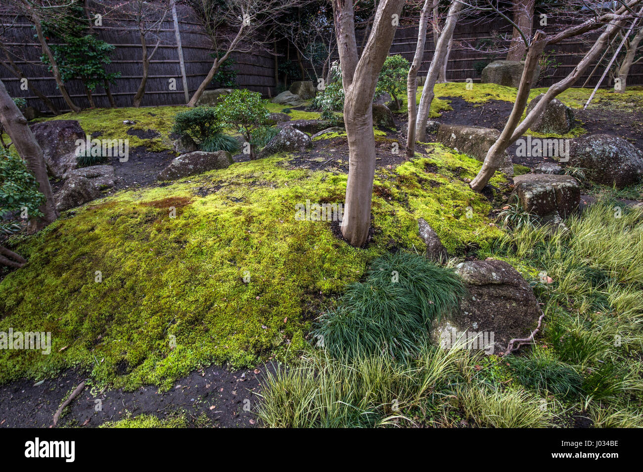 Moss e Stoneso a cinque Peonia Giardino a Tsurugaoka Hachimangu Santuario - Il giardino è stato creato nel 1980 per commemorare l'ottocentesimo anniversario di Tsuruga Foto Stock